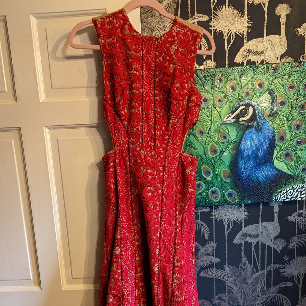 Self Portrait Red Coral Lace Starlet Midi Dress US 6